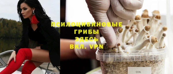 эйфоретик Аркадак
