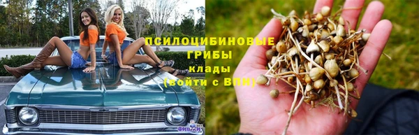 эйфоретик Аркадак