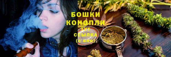 мет Арсеньев