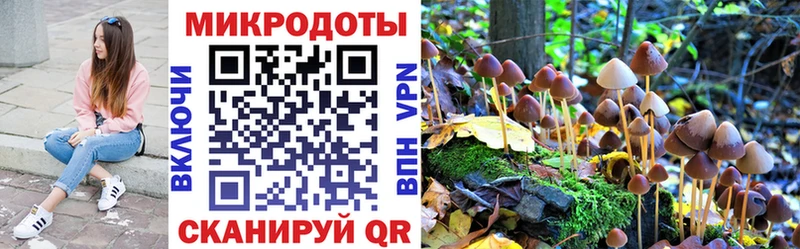 Галлюциногенные грибы GOLDEN TEACHER  Аркадак 