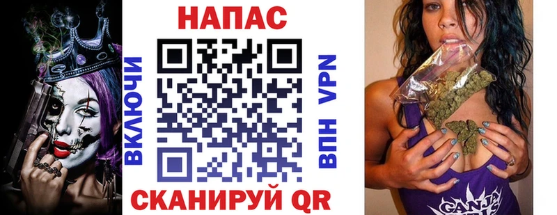 Конопля сатива Аркадак
